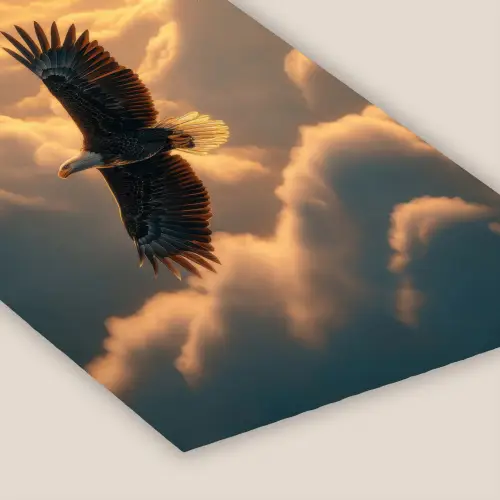 Adelaar - Wolken - Zon fotolijst zwart zonder passe partout klein -zsfeer6