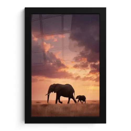 Olifanten - Grasland - Zonsondergang fotolijst zwart zonder passe partout klein -3d