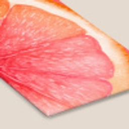 Grapefruit - Roze - Levendig fotolijst zwart zonder passe partout klein -zsfeer6