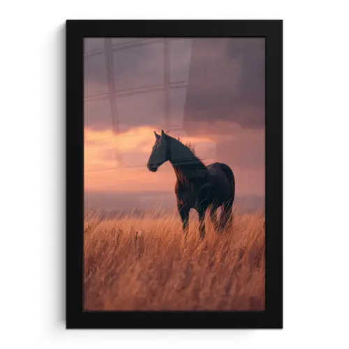 Paard - Wolken - Open veld fotolijst zwart zonder passe partout klein -3d