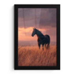 Paard - Wolken - Open veld fotolijst zwart zonder passe partout klein -3d