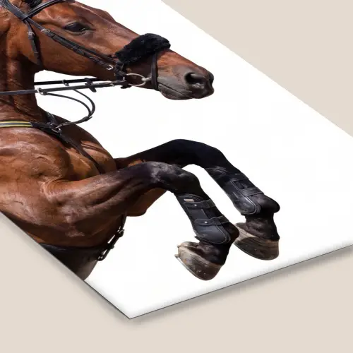 Paard - Springen - Modern fotolijst zwart zonder passe partout klein -zsfeer6