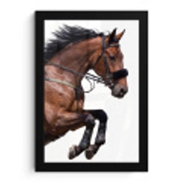 Paard - Springen - Modern fotolijst zwart zonder passe partout klein -3d