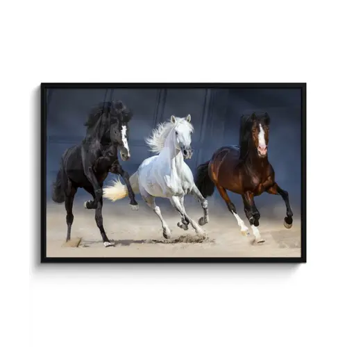 Paarden - Dieren - Zand fotolijst zwart zonder passe partout xxl -3d