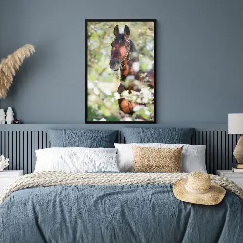 Paarden - Bloesem - Lente - Dieren fotolijst zwart zonder passe partout groot -sfeer3
