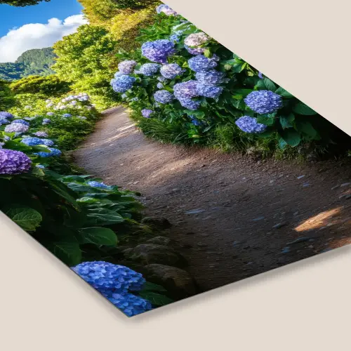 Hortsensia - Pad - Bloemen fotolijst zwart zonder passe partout klein -zsfeer6