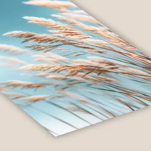 Siergras - Wind - Lichtbruin fotolijst zwart zonder passe partout klein -zsfeer6