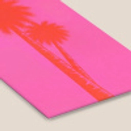 Palmbomen - Modern - Roze fotolijst zwart zonder passe partout klein -zsfeer6