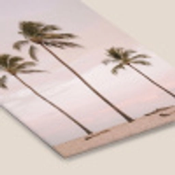 Palmbomen - Zonsondergang - Roze fotolijst zwart zonder passe partout klein -zsfeer6