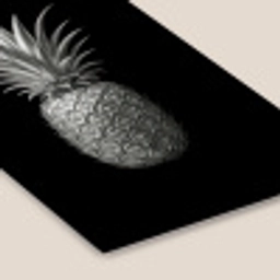 Ananas - Gedetailleerd - Bladeren fotolijst zwart zonder passe partout klein -zsfeer6