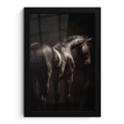 Krachtig - Paard - Donker fotolijst zwart zonder passe partout klein -3d
