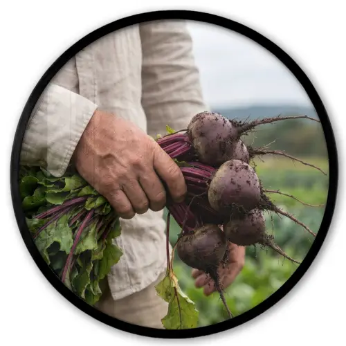 Bieten - Vers - Moestuin Fotolijst rond zonder passe partout klein -3d