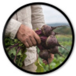 Bieten - Vers - Moestuin Fotolijst rond zonder passe partout klein -3d
