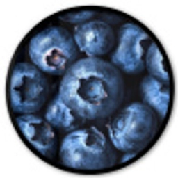 Bessen - Blauw - Fruit Fotolijst rond zonder passe partout klein -3d