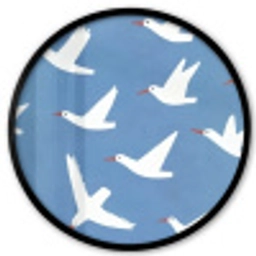 Vogels - Wit - Patroon Fotolijst rond zonder passe partout klein -3d