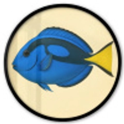 Blauw - Dory - Vis - Staartvin Fotolijst rond zonder passe partout klein -3d