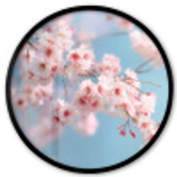 Takken - Bloesems - Roze Fotolijst rond zonder passe partout klein -3d