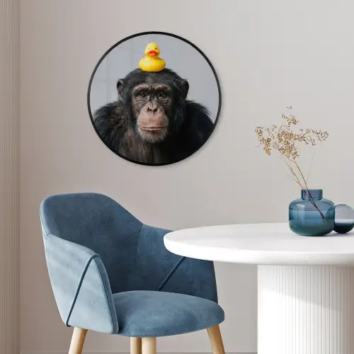 Chimpansee - Badeend - Grijs Fotolijst rond zonder passe partout klein -sfeer2