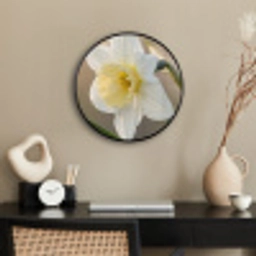 Narcis - Bloem - Minimalistisch Fotolijst rond zonder passe partout klein -sfeer1