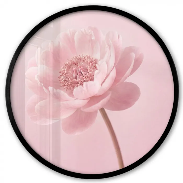 Bloem - Pioenroos - Roze Fotolijst rond zonder passe partout klein -3d