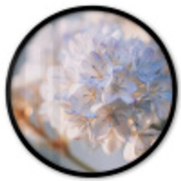 Bloemen - Lichtblauw - Wazig - Trosje Fotolijst rond zonder passe partout klein -3d