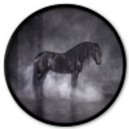 Paard - Magisch - Zwart Fotolijst rond zonder passe partout klein -3d