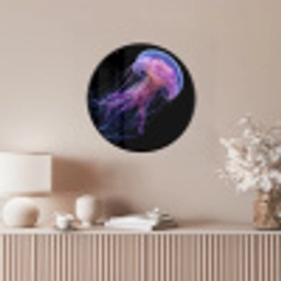 Kwal - Doorzichtig - Roze - Tentakels Fotolijst rond zonder passe partout klein -sfeer3