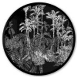 Bladeren - Bomen - Jungle Fotolijst rond zonder passe partout klein -3d