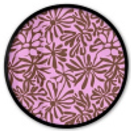 Organisch - Patroon - Roze Fotolijst rond zonder passe partout klein 856 -3d