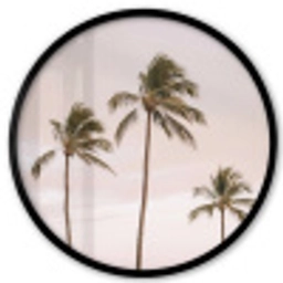 Palmbomen - Zonsondergang - Roze Fotolijst rond zonder passe partout klein -3d