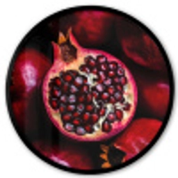 Granaatappel - Rood - Fruit Fotolijst rond zonder passe partout klein -3d