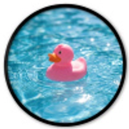 Badeend - Dobberend - Roze Fotolijst rond zonder passe partout klein -3d