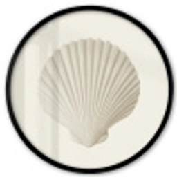 Schelp - Minimalistisch - Wit Fotolijst rond zonder passe partout klein -3d