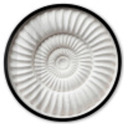 Schelp - Spiraal - Wit Fotolijst rond zonder passe partout klein -3d
