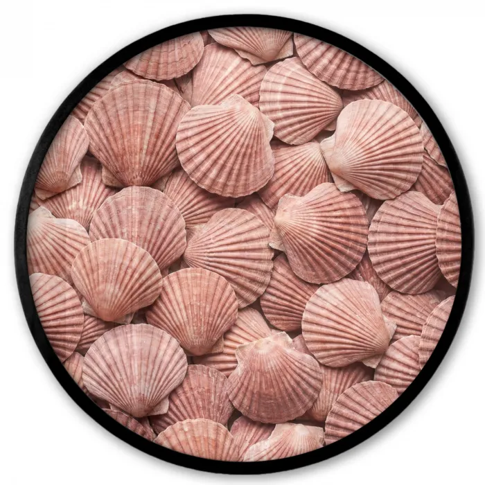 Schelpen - Patroon - Roze Fotolijst rond zonder passe partout klein -3d