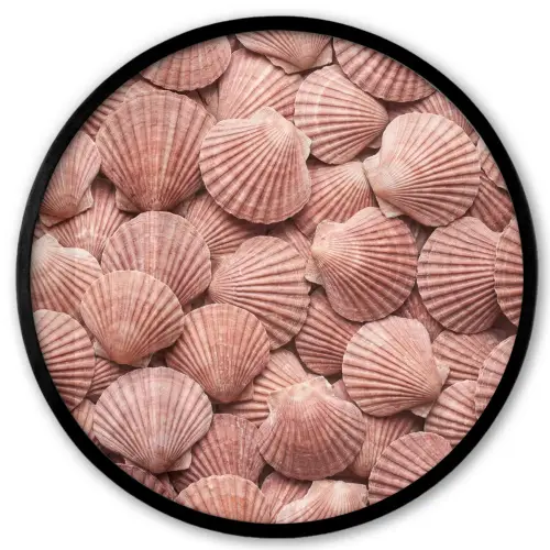 Schelpen - Patroon - Roze Fotolijst rond zonder passe partout klein -3d