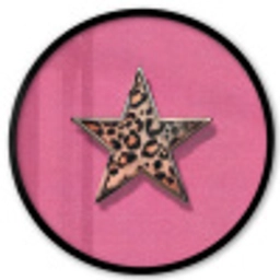 Ster - Luipaard - Print - Roze Fotolijst rond zonder passe partout klein -3d
