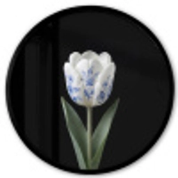 Tulp - Patroon - Blauw Fotolijst rond zonder passe partout klein -3d