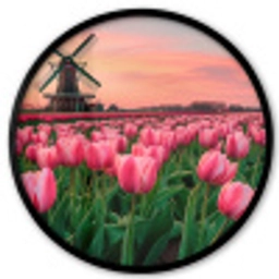 Tulpen - Molen - Nederland Fotolijst rond zonder passe partout klein -3d