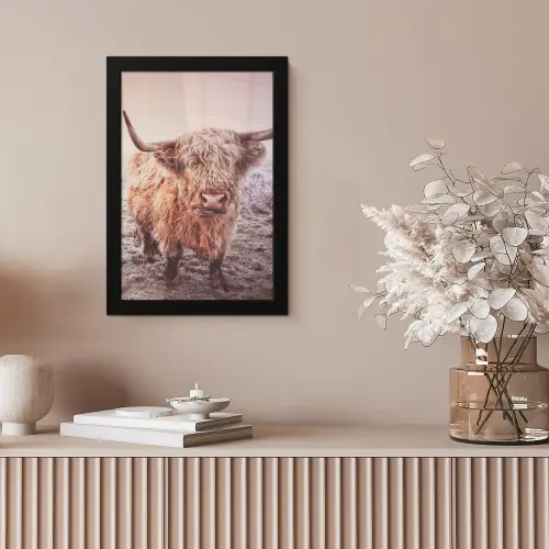 Schotse hooglanders - Licht - Lucht - Natuur fotolijst zwart zonder passe partout klein -sfeer5