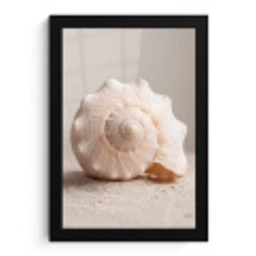Schelp - Detail - Beige fotolijst zwart zonder passe partout klein -3d