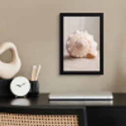 Schelp - Detail - Beige fotolijst zwart zonder passe partout klein -sfeer1