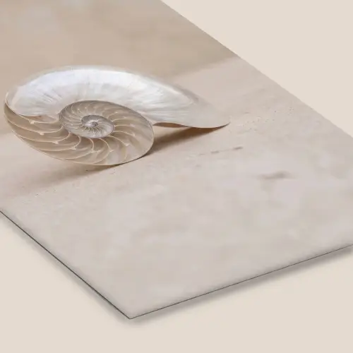 Schelp - Spiraal - Beige fotolijst zwart zonder passe partout klein -zsfeer6