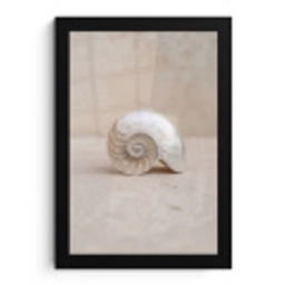 Schelp - Spiraal - Beige fotolijst zwart zonder passe partout klein -3d