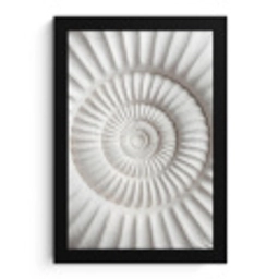 Schelp - Spiraal - Wit fotolijst zwart zonder passe partout klein -3d