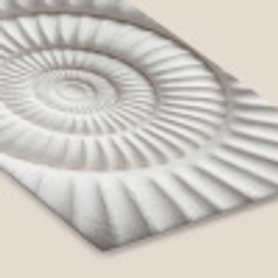 Schelp - Spiraal - Wit fotolijst zwart zonder passe partout klein -zsfeer6
