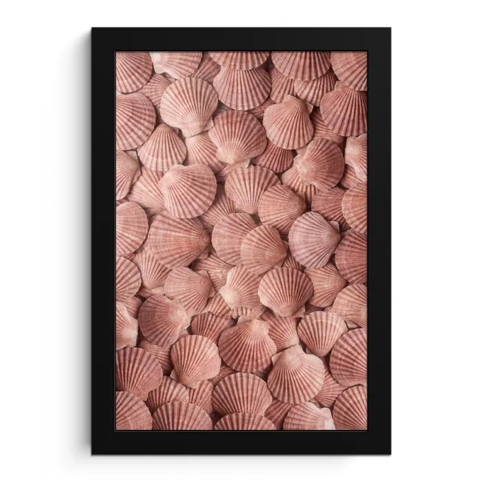 Schelpen - Patroon - Roze fotolijst zwart zonder passe partout klein -3d