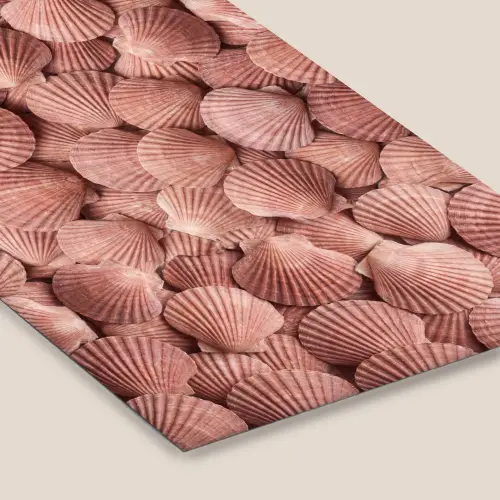 Schelpen - Patroon - Roze fotolijst zwart zonder passe partout klein -zsfeer6