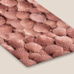 Schelpen - Patroon - Roze fotolijst zwart zonder passe partout klein -zsfeer6