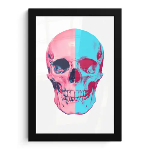 Schedel - Grafisch - Roze - Verdeeld fotolijst zwart zonder passe partout klein -3d